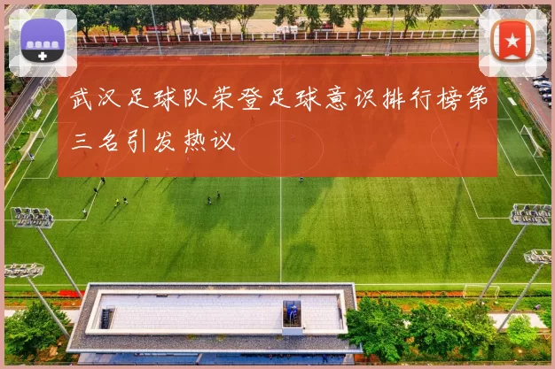 武汉足球队荣登足球意识排行榜第三名引发热议