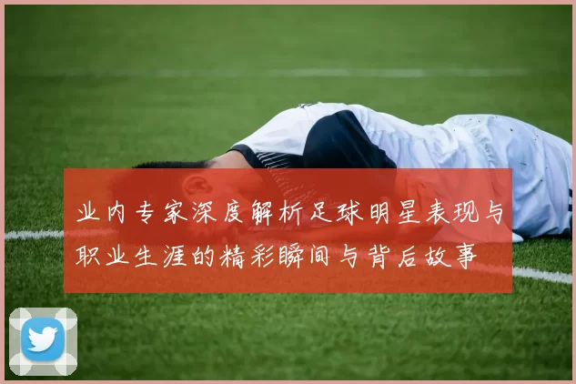 业内专家深度解析足球明星表现与职业生涯的精彩瞬间与背后故事