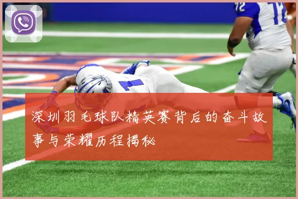 深圳羽毛球队精英赛背后的奋斗故事与荣耀历程揭秘