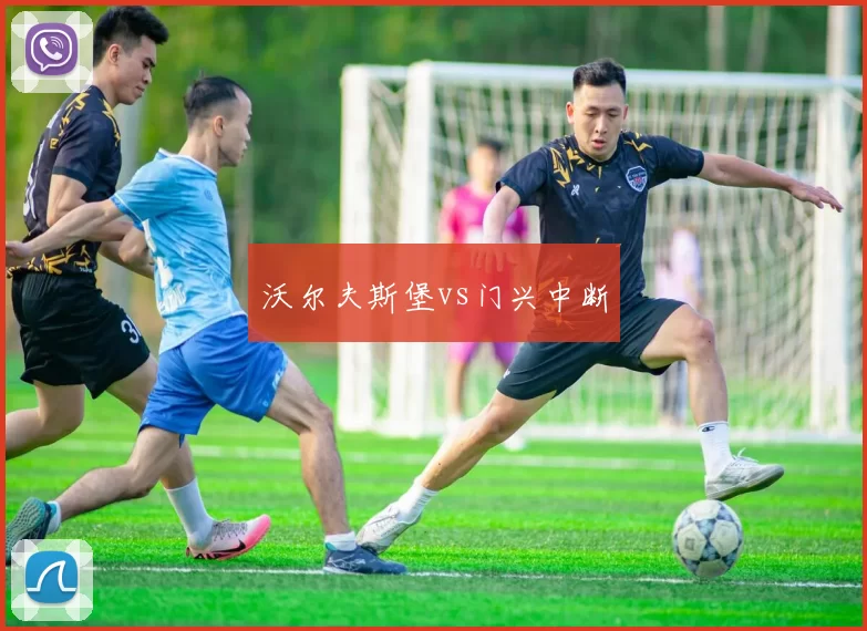 沃尔夫斯堡vs门兴中断