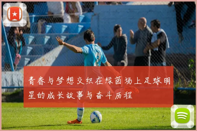 青春与梦想交织在绿茵场上足球明星的成长故事与奋斗历程