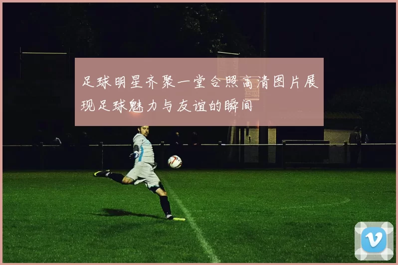 足球明星齐聚一堂合照高清图片展现足球魅力与友谊的瞬间