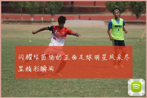闪耀绿茵场的正面足球明星风采尽显精彩瞬间