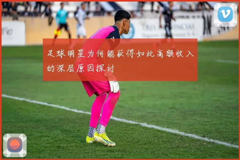 足球明星为何能获得如此高额收入的深层原因探讨