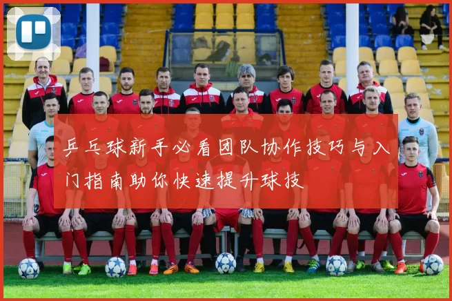 乒乓球新手必看团队协作技巧与入门指南助你快速提升球技