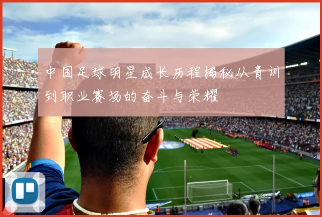 中国足球明星成长历程揭秘从青训到职业赛场的奋斗与荣耀