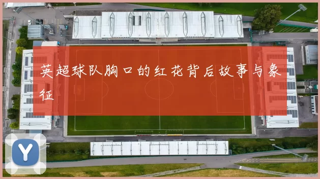 英超球队胸口的红花背后故事与象征