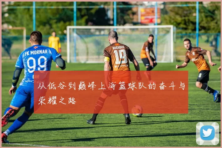 从低谷到巅峰上海篮球队的奋斗与荣耀之路