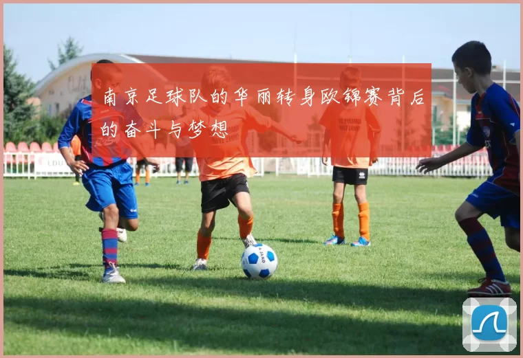 南京足球队的华丽转身欧锦赛背后的奋斗与梦想
