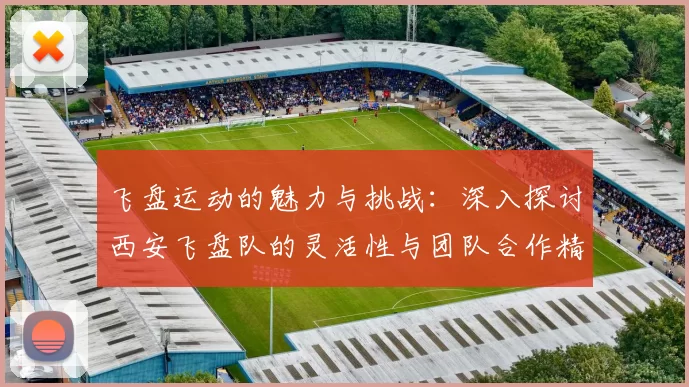 飞盘运动的魅力与挑战：深入探讨西安飞盘队的灵活性与团队合作精神