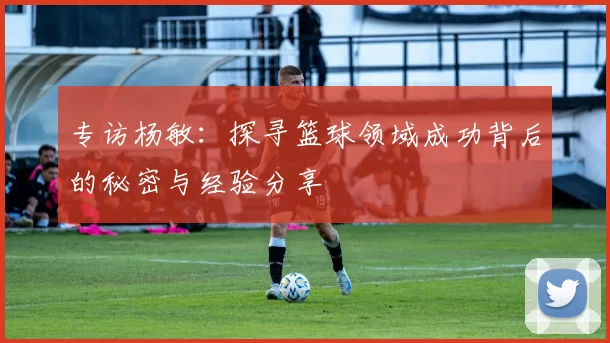 专访杨敏：探寻篮球领域成功背后的秘密与经验分享