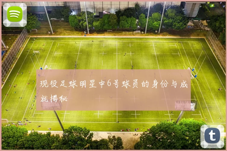 现役足球明星中6号球员的身份与成就揭秘