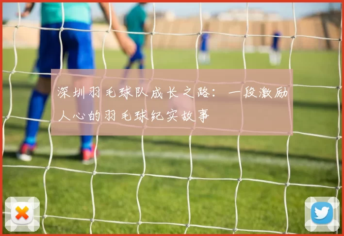深圳羽毛球队成长之路：一段激励人心的羽毛球纪实故事