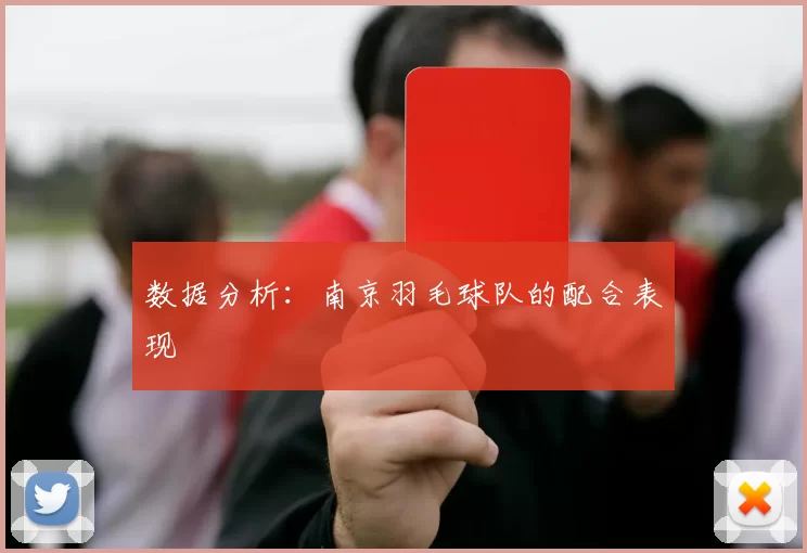 数据分析：南京羽毛球队的配合表现