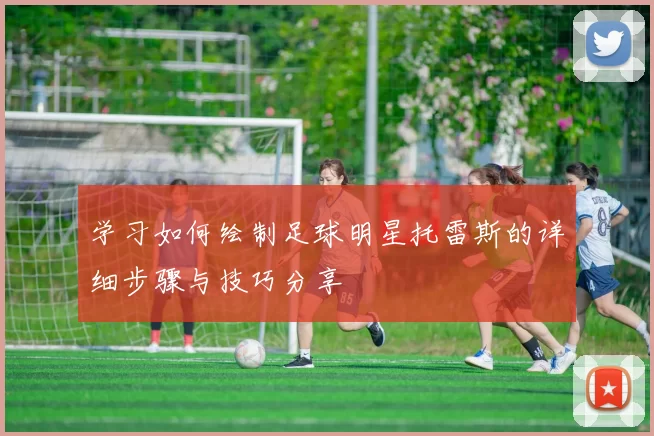 学习如何绘制足球明星托雷斯的详细步骤与技巧分享