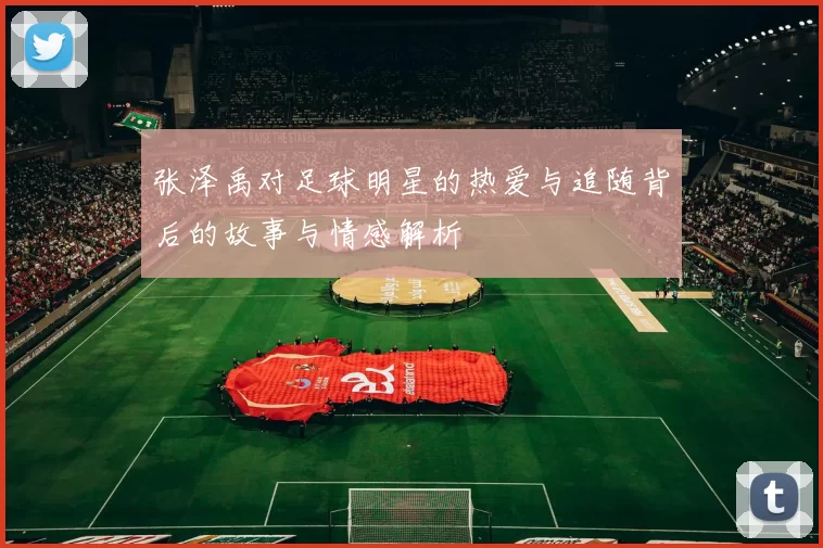 张泽禹对足球明星的热爱与追随背后的故事与情感解析