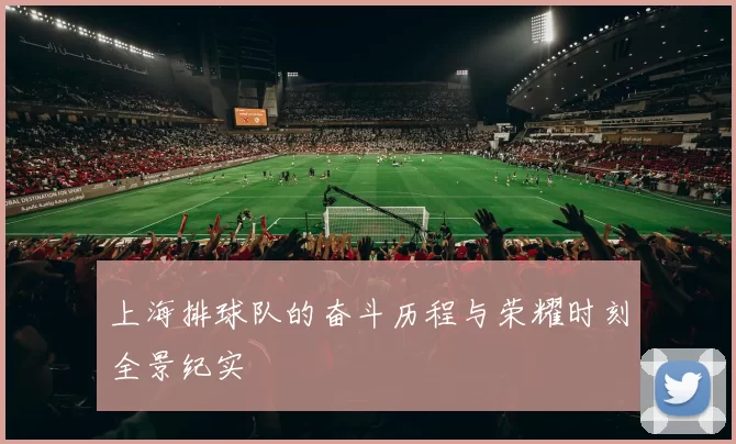 上海排球队的奋斗历程与荣耀时刻全景纪实
