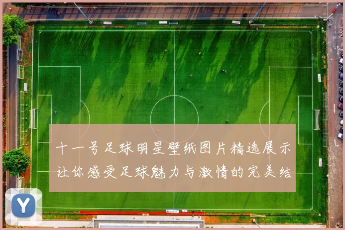 十一号足球明星壁纸图片精选展示让你感受足球魅力与激情的完美结合
