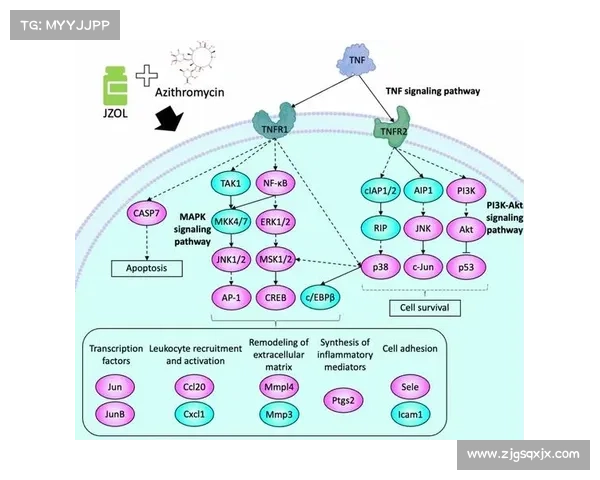 提升游戏体验的三大策略有效提升玩家沉浸感与操作流畅度 提升游戏体验的三大策略有效提升玩家沉浸感与操作流畅度